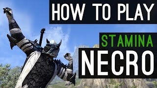Stamina Necromancer How to Play Beginners Guide - Elsweyr ESO
