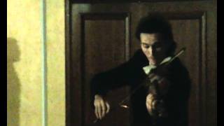 Notre Dame de Paris Belle Висицкий Никита играет на скрипке