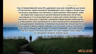 "Больше и больше старайтесь". Н. С. Антонюк. Проповедь. МСЦ ЕХБ.