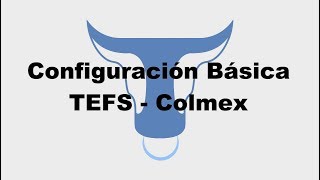 ► Configuración Básica de la Plataforma TEFS - COLMEX Pro - Day Trading