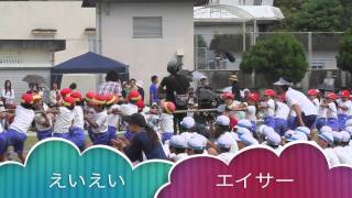秘密のケンミンSHOW「綱引き」...宮崎県