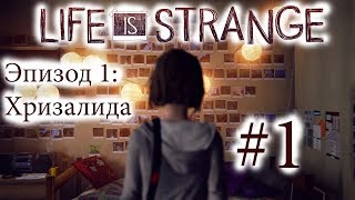 Life is Strange - Эпизод 1: Хризалида #1 [русская озвучка, без комментариев]