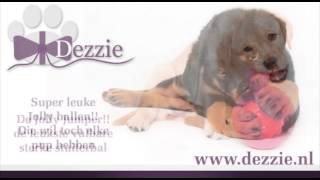 Dezzie, puppy speelgoed