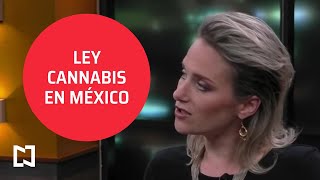 Posponen discusión de Ley Cannabis en México - Punto y Contrapunto