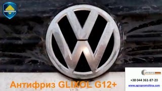Антифриз Glixol G12+ Organika Car
