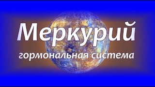 Гормональная система. Меркурий - малый инь.