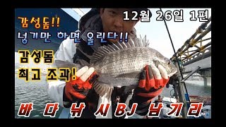남기리 감성돔 바다찌낚시 20마리 조과!! 1편