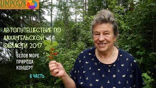 6 ЧАСТЬ Автопутешествие по Архангельской области и Белому морю 2017