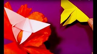 СУПЕР-БАБОЧКИ из БУМАГИ / ПРОСТОЕ ОРИГАМИ БАБОЧКА / Поделки из бумаги своими руками