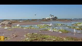 красивое море шум моря и спокойствие,отдых и сон