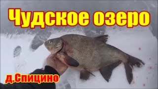 Чудское озеро 2019 чудная рыбалка д.Спицино 6 км в море часть 2
