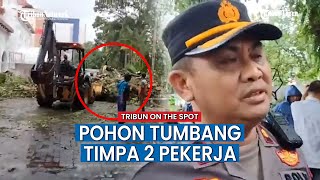 Pohon Tumbang di Pengadilan Negeri Makassar Timpa 2 Pekerja