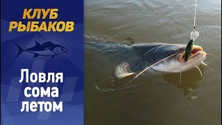 Рыбалка на сома. Рыбалка летом