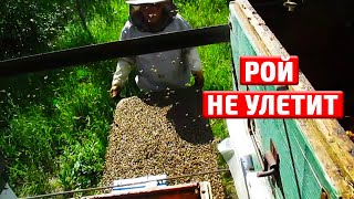 Роение пчел. Искусственное роение. КАК НЕ ДОПУСТИТЬ ВЫХОД РОЯ