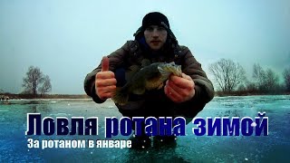Ловля РОТАНА зимой 2018 | КЛЕВ КАК ИЗ ПУЛЕМЕТА !