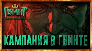 Новая информация о кампании в Гвинте (GWENT: Thronebreaker)
