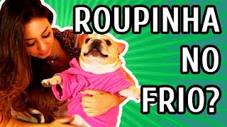 QUANDO COLOCAR ROUPA NO CACHORRO