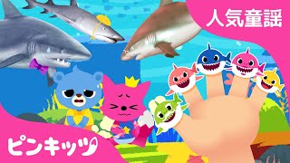 【ベスト】10月のピンキッツ人気曲まとめ★ | うんち体操 ・ リアルなサメのかぞく他 | こどものうた | 人気童謡 | Pinkfong! | ピンキッツ！