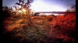 Teemu T - Winter Morning