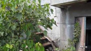廃墟に行って心霊体験してみた 心霊映像あり　やらせなし