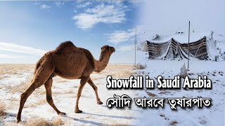 Snowfall in Saudi Arabia || সৌদি আরবে তুষারপাত 2020