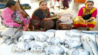 VERSOVA FISH MARKET | Fish Market in Mumbai