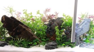 Светильник для аквариума AquaLighter 1 LED