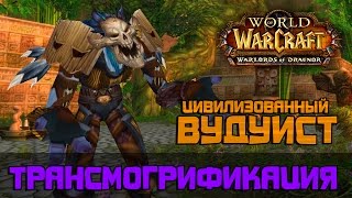 Цивилизованный Вудуист, трансмогрификация Wow (Охотник, Шаман)