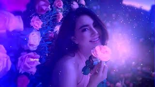 Roses and love