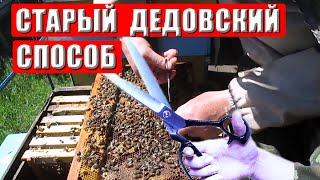 Смена маток подрезанием ножки