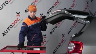Kā nomainīt VW PASSAT B6 numurzīmes apgaismojuma lampiņas [PAMĀCĪBA]