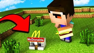 НУБ ПОСТРОИЛ САМЫЙ МАЛЕНЬКИЙ МАКДОНАЛЬДС В ДЕРЕВНЕ В МАЙНКРАФТ! НУБИК MINECRAFT ТРОЛЛИНГ Мод Мультик