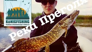 Рыбалка в Калининграде ////Преголя////KÖNIGFISHING.