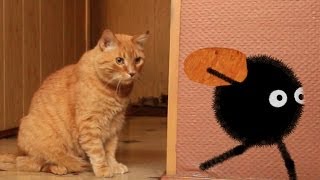 Spider vs Cat - Паук Амик против кота. Mult-uroki.ru. 2d animation in Anime Studio Pro (Moho Pro)