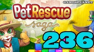 Pet Rescue Saga Level 236-Over 43.000 Pet Coins Overall 50 New Pet Coins