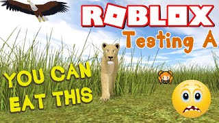 ROBLOX TESTING A (Wild Savannah) LIONESS CAN EAT THIS!!!! ? And it's so AHHHHHHH!!!!!!!