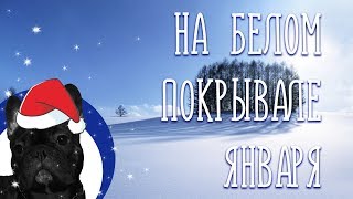 НА БЕЛОМ ПОКРЫВАЛЕ ЯНВАРЯ / Разбор на гармони / Готовимся к НОВОМУ ГОДУ