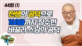 [BTN불교TV]광우스님의 소나무 44회. 선업의 힘으로 수명장수를 얻다(1)