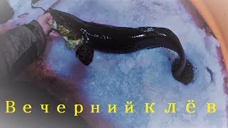НОЧЬЮ НА НАЛИМА / вечер / NIGHT ON BURBOT