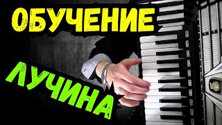 То не ветер ветку клонит Обучение  на аккордеоне уроки для Начинающих | для новичков