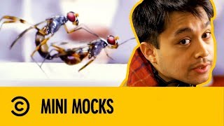 Porno Para Insectos | Mini Mocks | Comedy Central España