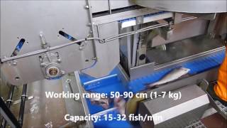 Baader 444 Heading and gutting machine \ Baader 444 Потрошильная машина для белой рыбы
