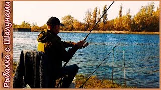 Осенний фидер на реке Сож