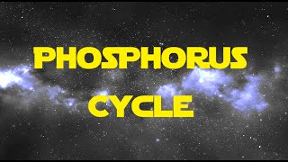 The Phosphorus Cycle