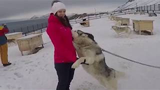 Поселок Баренцбург с посещением ШАХТЫ, часть 4\5