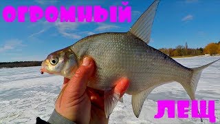 ЛЕЩ, ОГРОМНЫЙ ЛЕЩ! Зимняя рыбалка от Михалыча