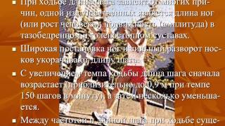 Биомеханика ходьбы