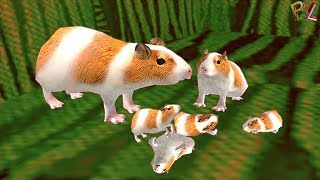 СИМУЛЯТОР МАЛЕНЬКОГО ПИТОМЦА Морской Свинки Мультяшная Игра Для Детей