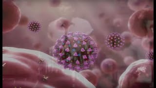 MY "CARONA" - A COVID-19 / CORONAVIRUS PARODY - Lyrics by Donald Trump | Don Caron