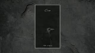 Dark Trap Beat | Crow | 165 BPM |{Prod. By Vilest}